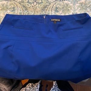 Express skirt size 10